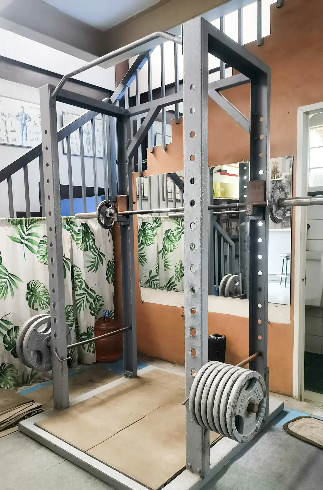 Plate-loaded gym equipment